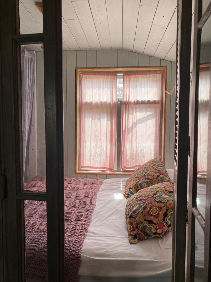 In De Aap - Appartementen & Guesthouse 卑尔根 外观 照片