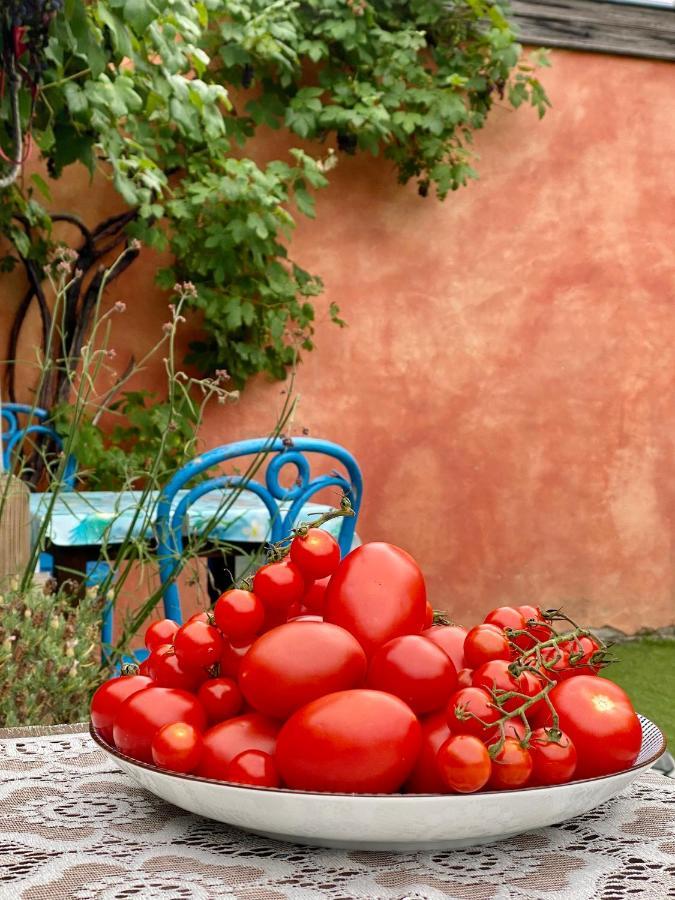 In De Aap - Appartementen & Guesthouse 卑尔根 外观 照片