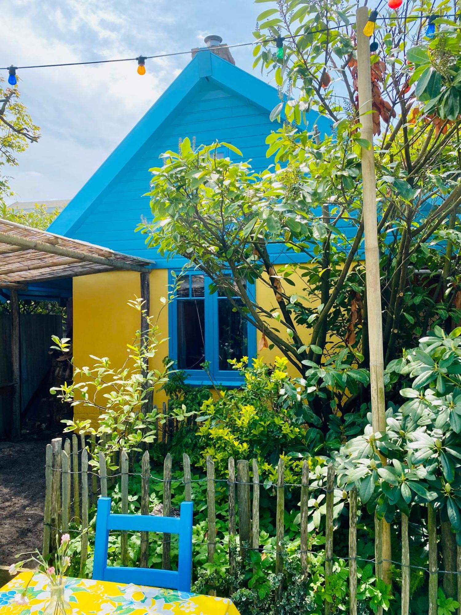 In De Aap - Appartementen & Guesthouse 卑尔根 外观 照片