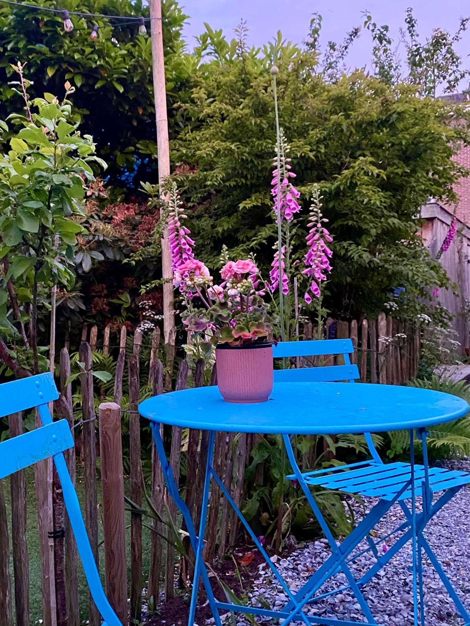 In De Aap - Appartementen & Guesthouse 卑尔根 外观 照片