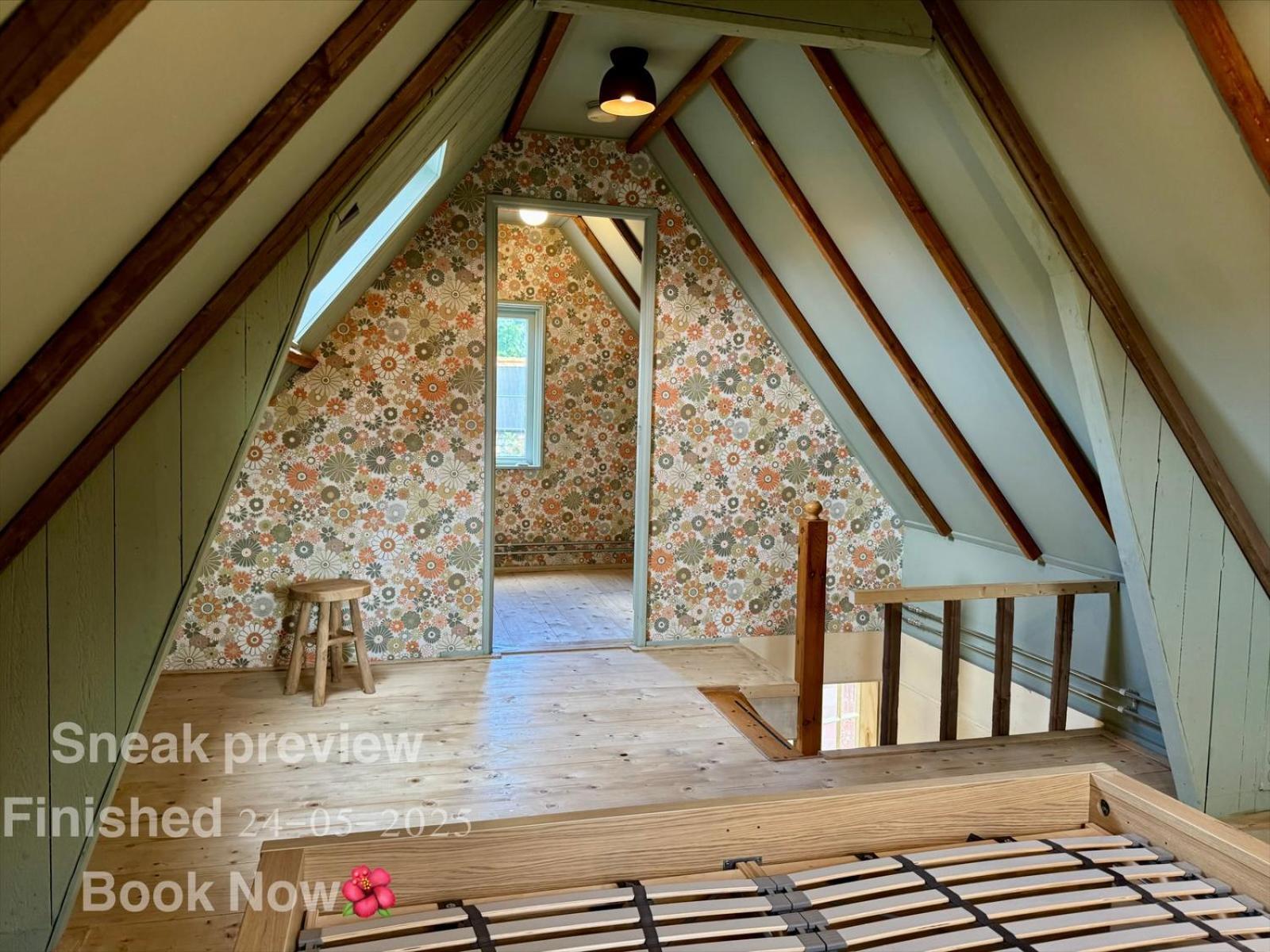 In De Aap - Appartementen & Guesthouse 卑尔根 外观 照片